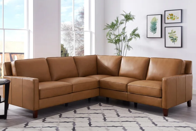 Image with text section